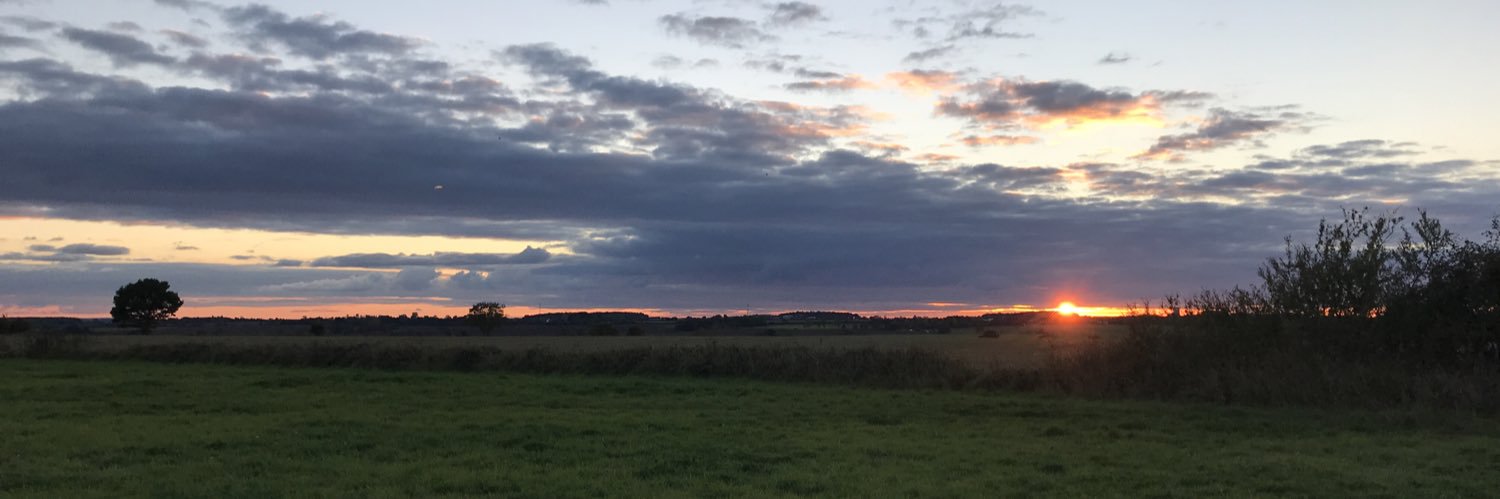 gracemacinnes's profile banner image