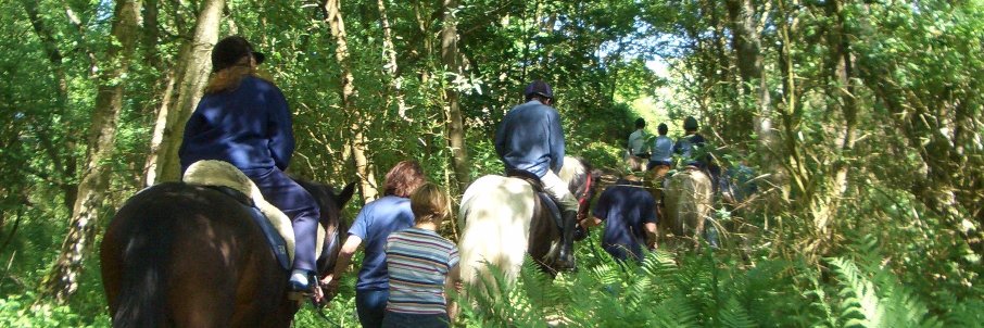 Bradbourne RDA banner