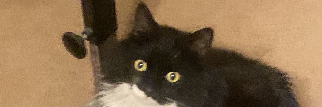 Brian A Witmer banner