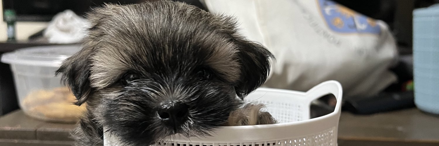 amemodelo's profile banner image