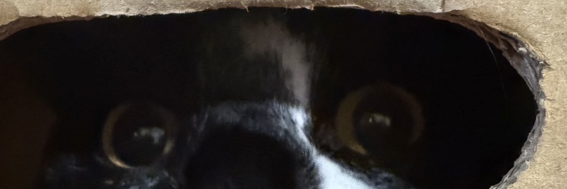 oka_na7's profile banner image