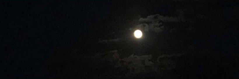 ishh1ii's profile banner image