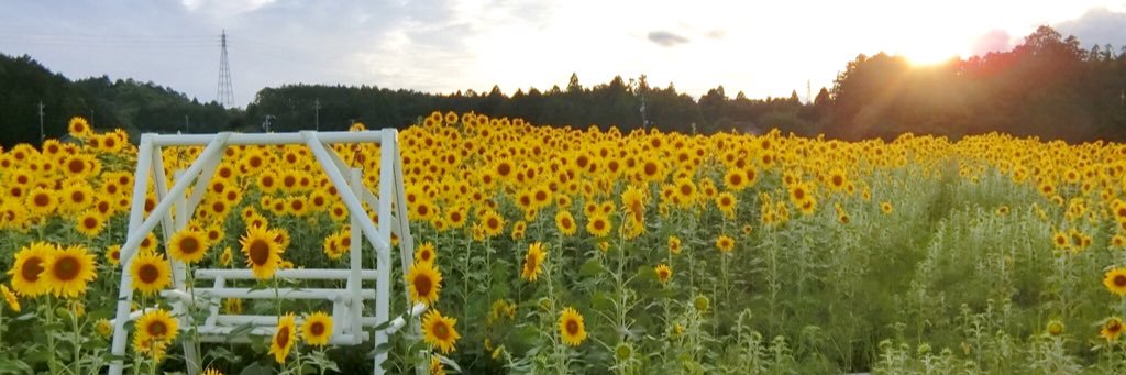 akaaari20's profile banner image