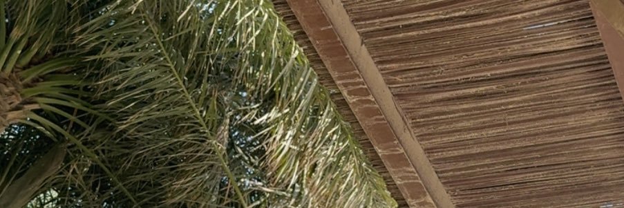 seh227's profile banner image