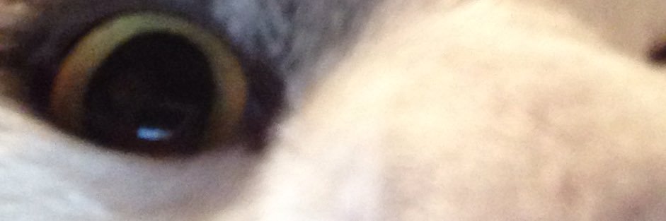 Mizchele6's profile banner image