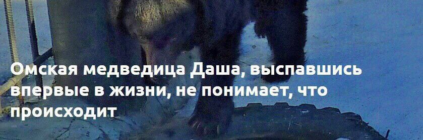 snap_out_of's profile banner image