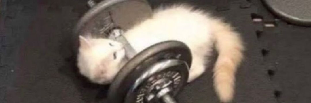 MatheusSGTop's profile banner image
