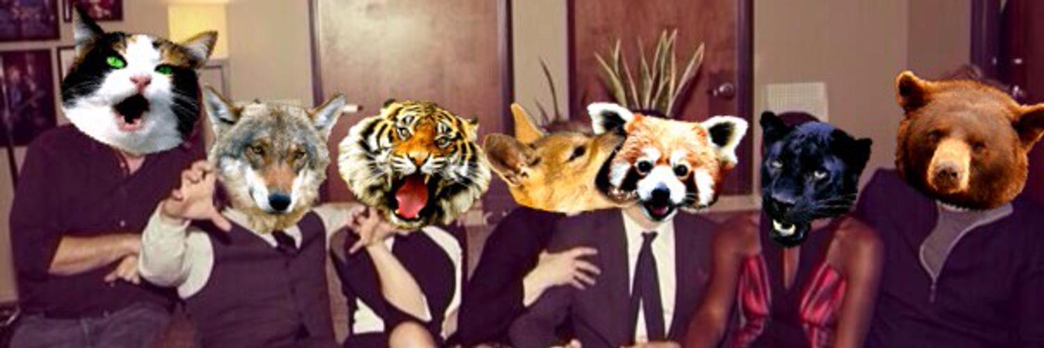 meg_ape's profile banner image