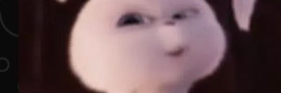 Elda banner