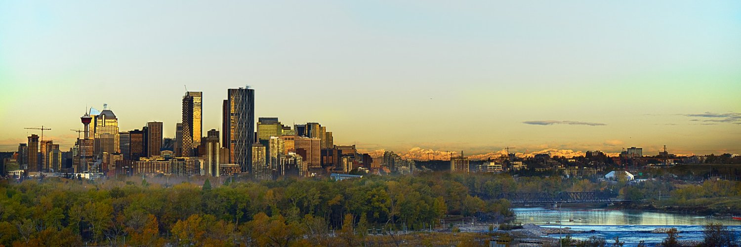 memoleal's profile banner image