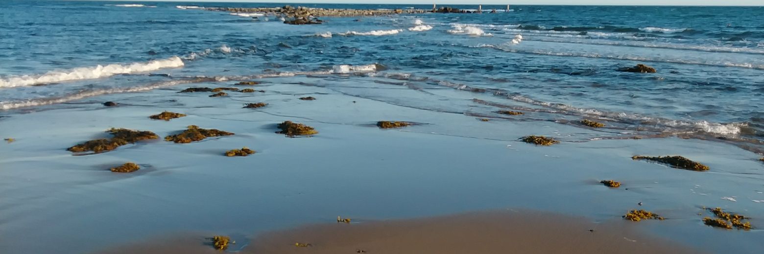 Kelliena's profile banner image