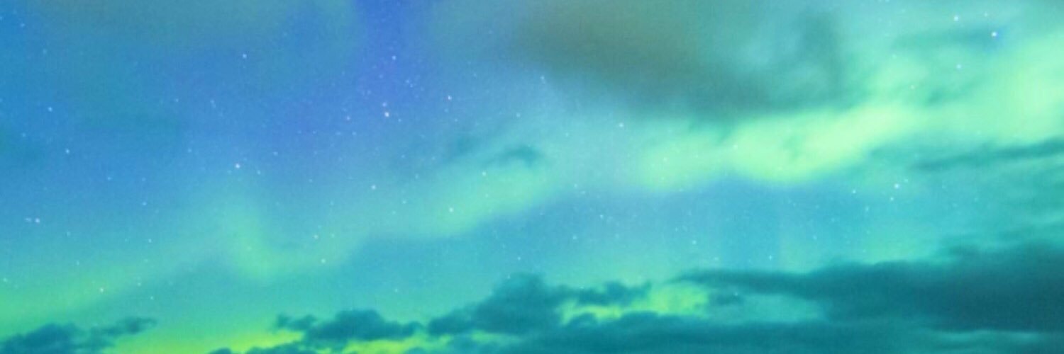 NickSingh212's profile banner image