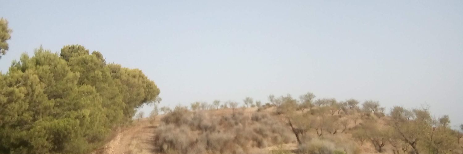 QMEC_Lorca's profile banner image
