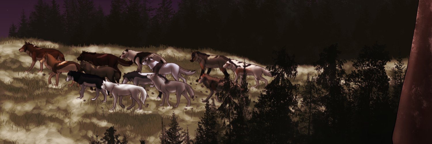 zoketi's profile banner image