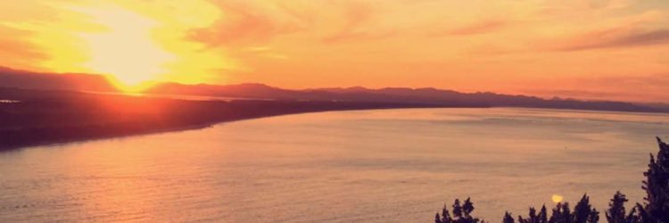 rachellecate's profile banner image