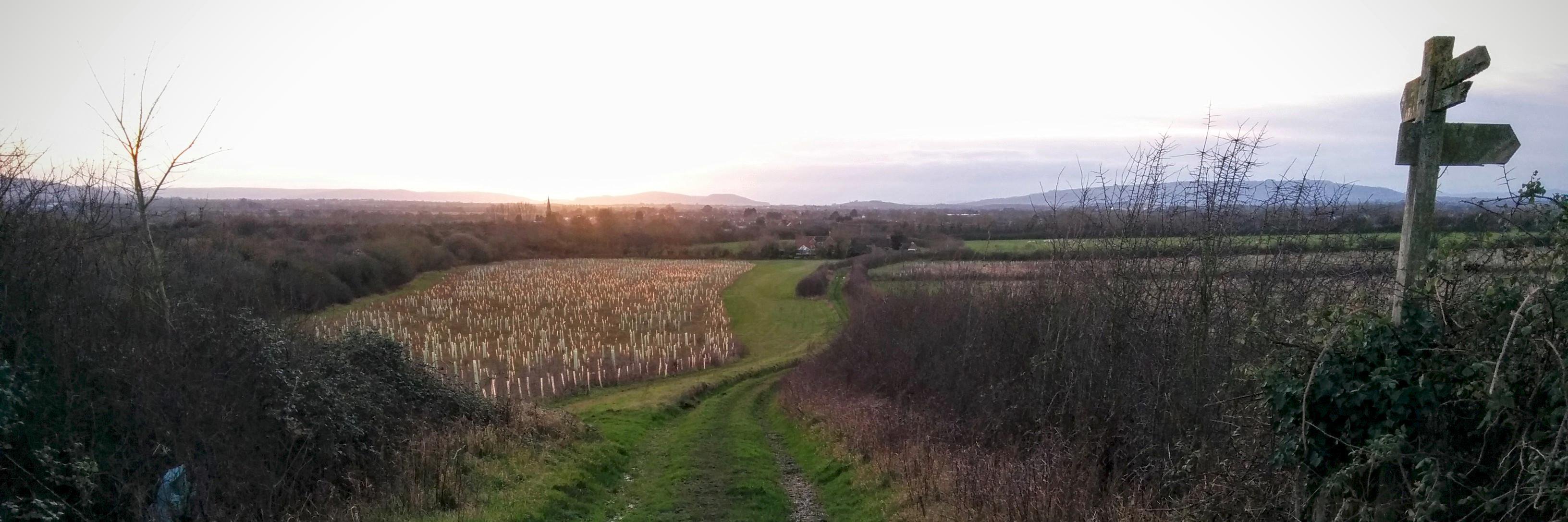 Patrick H (→Bluesky) Green Party 2025 💚🇬🇧 #FBPE banner