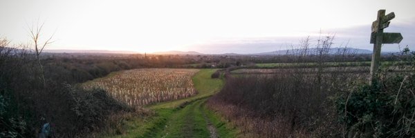 paddyhogan Profile Banner