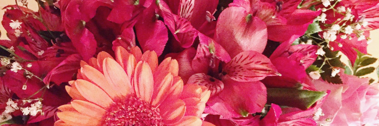 Shirley__M's profile banner image