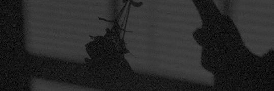 yl29_'s profile banner image