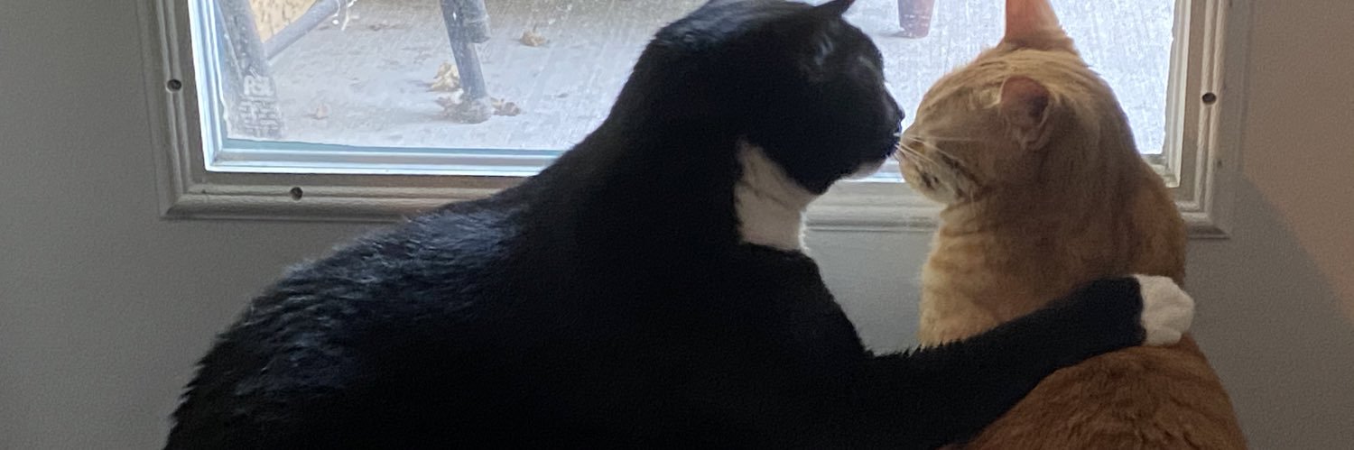 izcatlady's profile banner image