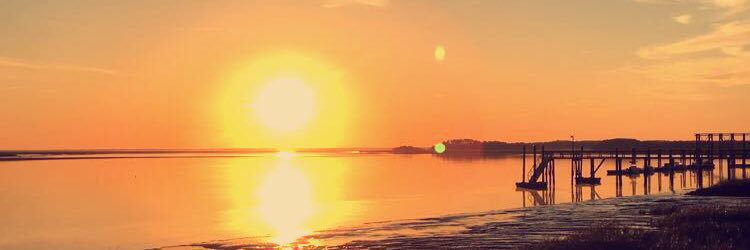 OAK3196's profile banner image