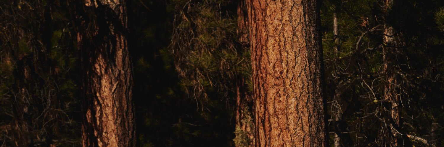txreshh's profile banner image
