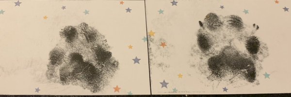 sunafkinZ Profile Banner