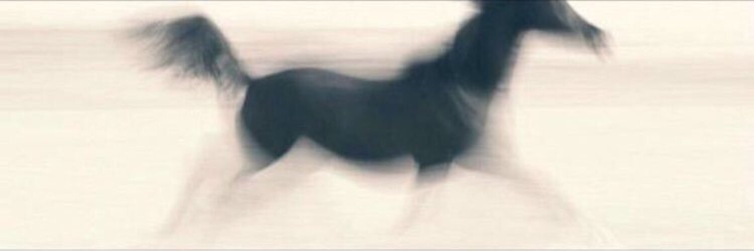 ebtisam_bf's profile banner image