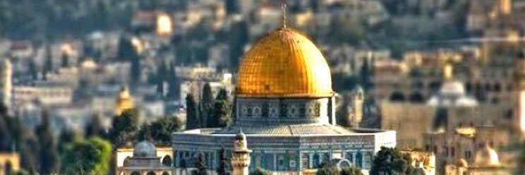 بدر زبار الجذع banner
