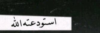 RAZAN91858539's profile banner image