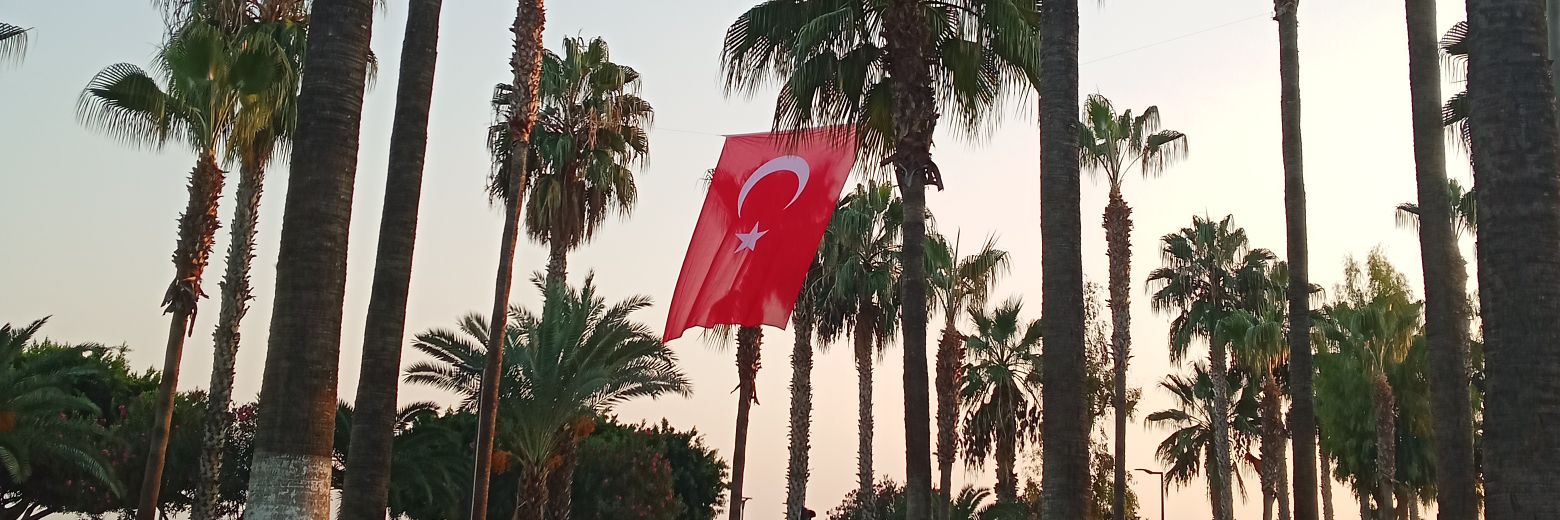 altugtemel's profile banner image