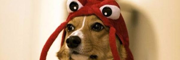 EdsonMati's profile banner image