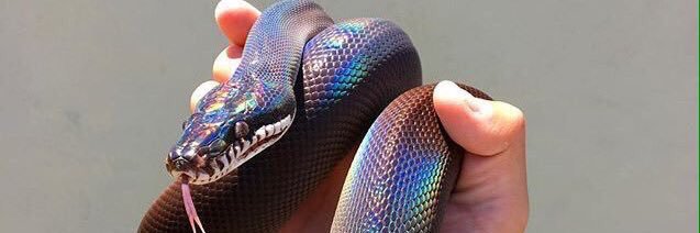 emvanr_'s profile banner image