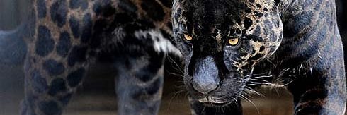 erictsie75's profile banner image