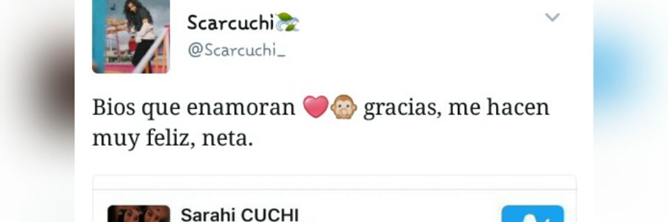 Sarahivasquez19's profile banner image