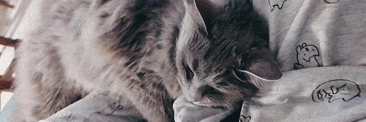 Meelaibanez's profile banner image