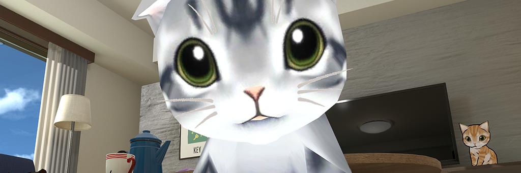 cat ɯuzzƮe banner