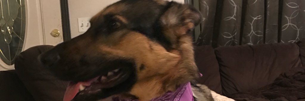KyleNear55's profile banner image
