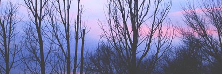 lyssaanator's profile banner image