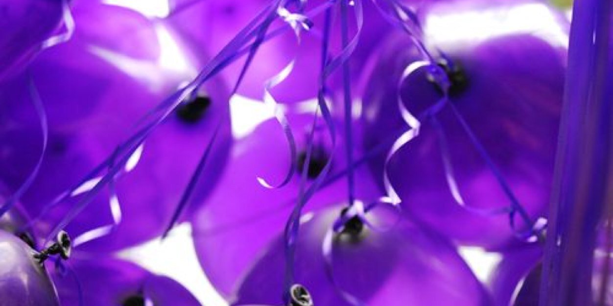 VHHSRelay4Life's profile banner image
