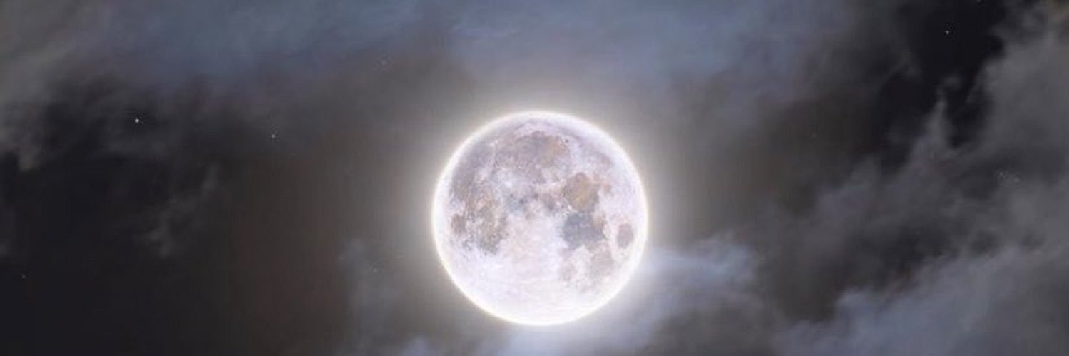 bxyleigh's profile banner image