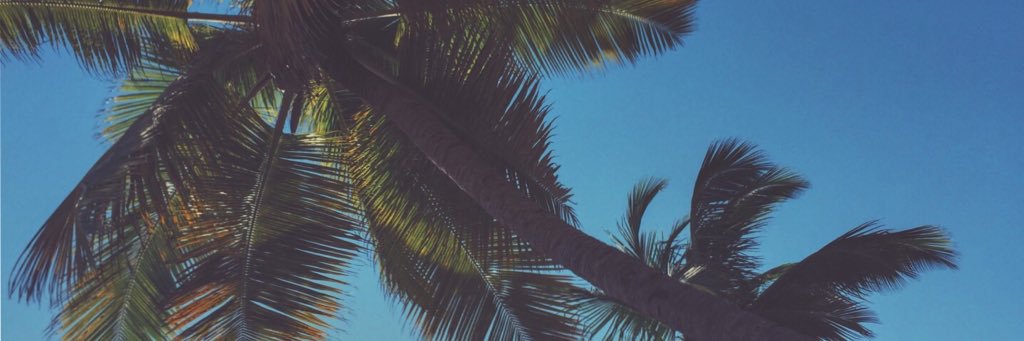 Pedrorihenque's profile banner image