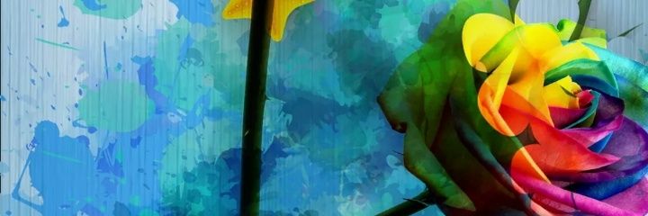 polycarp234's profile banner image