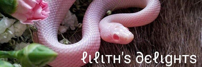LilithVonLecter's profile banner image