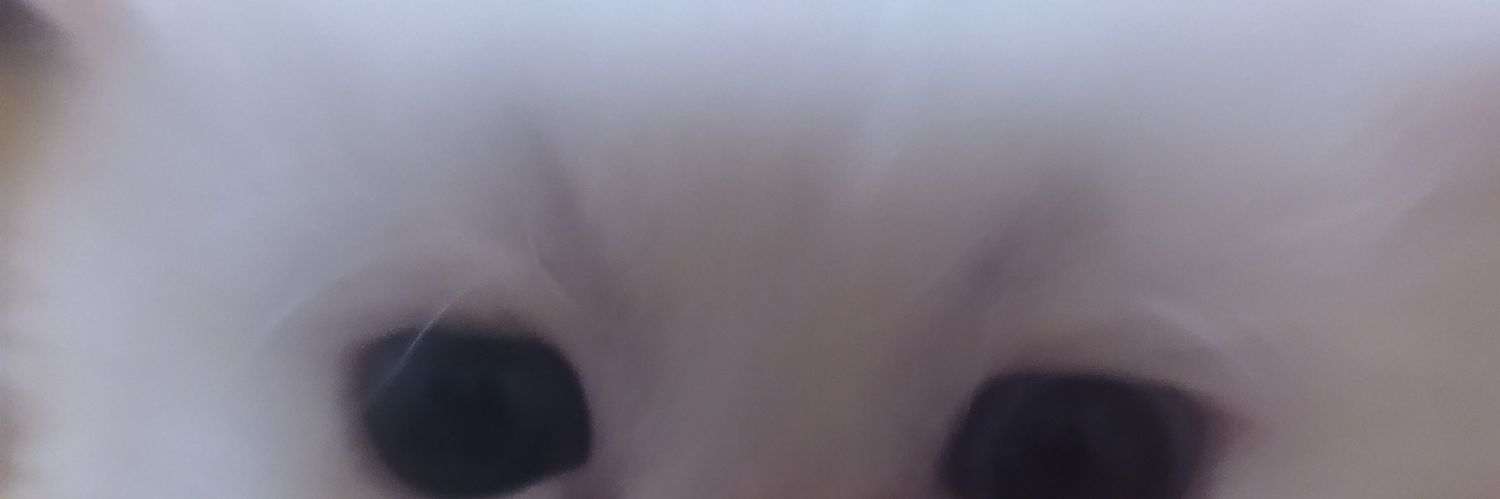 nindya_nfp's profile banner image