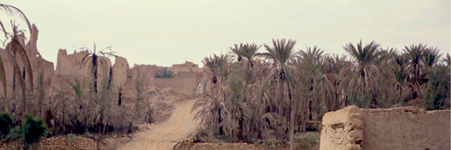 sultanhamdi's profile banner image