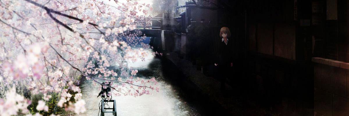NVincar's profile banner image
