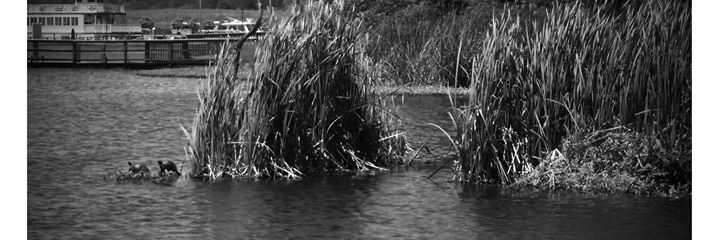 DocJeuwels's profile banner image