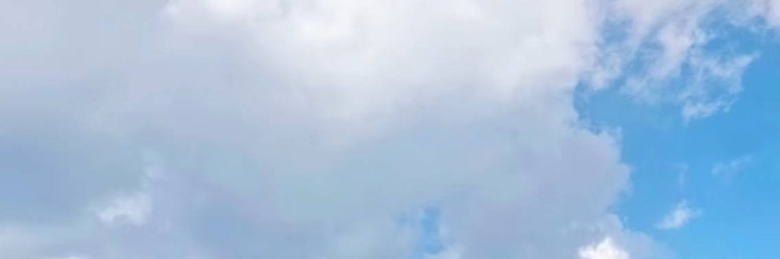 emwilli5's profile banner image