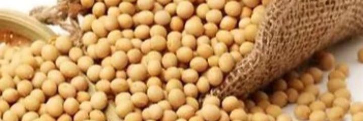 meakboat's profile banner image
